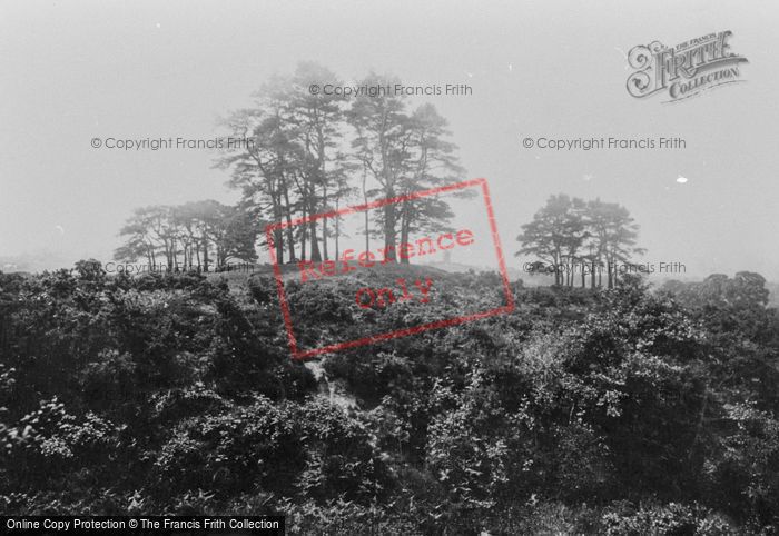 Photo of Reigate, The Heath 1890