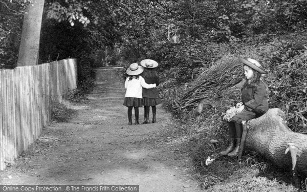 Photo of Reigate, Three's A Crowd 1907