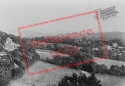 View From Near Suspension Bridge 1906, Reigate