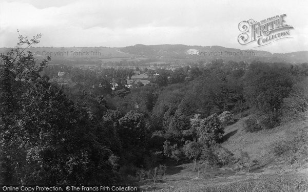 Photo of Reigate, View From The Park 1919