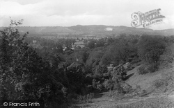 View From The Park 1919, Reigate