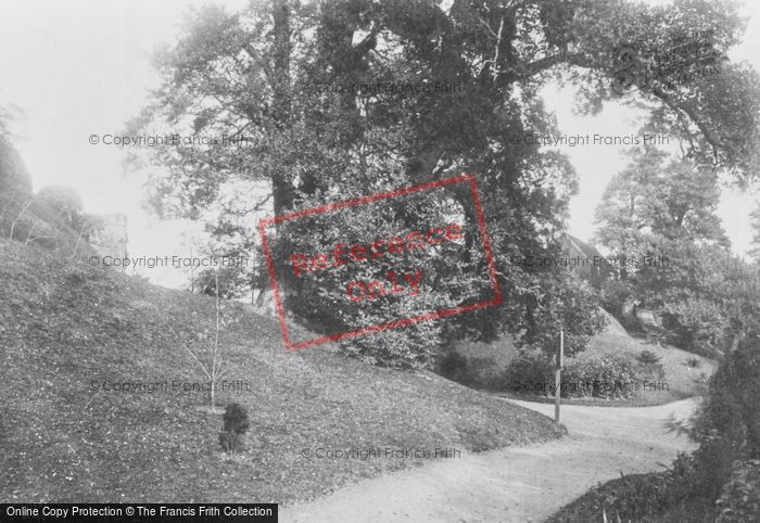Photo of Reigate, View In Castle Grounds 1886