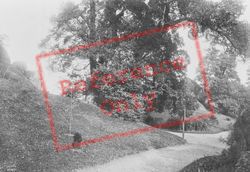 View In Castle Grounds 1886, Reigate