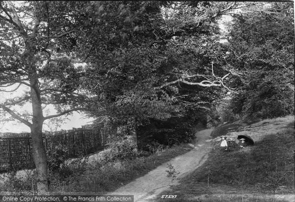 Photo of Reigate, View In The Park 1907