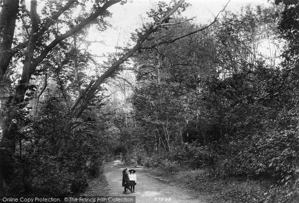 Photo of Reigate, View In The Park 1907