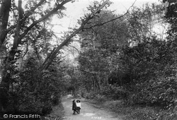 View In The Park 1907, Reigate