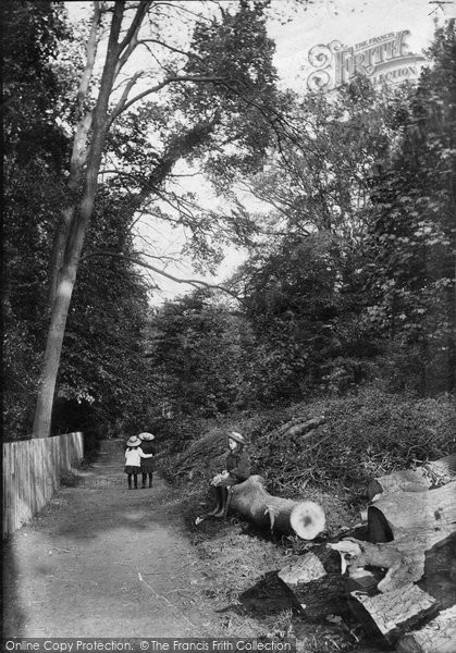 Photo of Reigate, View In The Park 1907