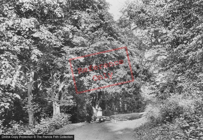 Photo of Reigate, View In The Park 1907