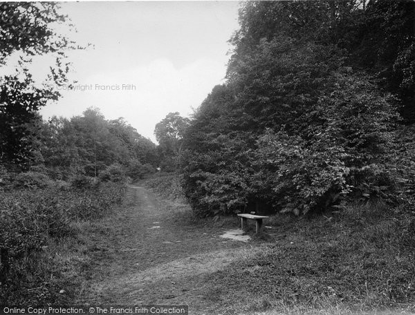 Photo of Reigate, View In The Park 1928