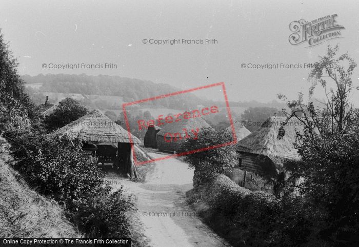 Photo of Reigate, View On Road To Suspension Bridge 1886 