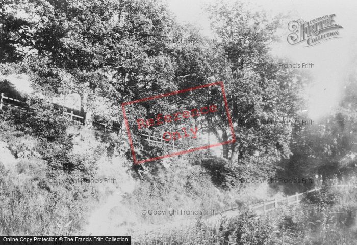 Photo of Reigate, West Side Entrance To Park 1886