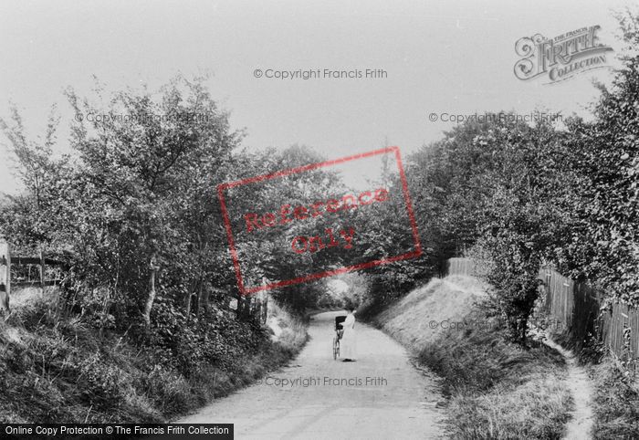 Photo of Reigate, Wray Lane 1906