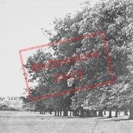 Revesby Abbey c.1955, Revesby