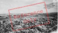 General View c.1955, Reynoldston