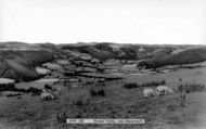 Valley 1960, Rheidol