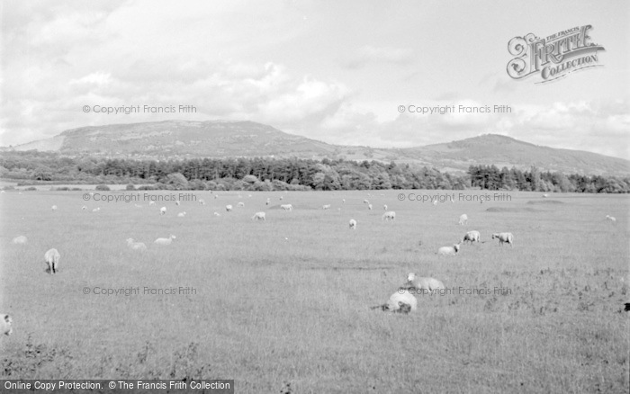Photo of Rhuddlan, The Golf Course 1952