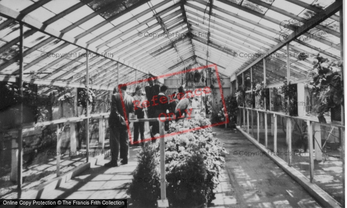 Photo of Rhyl, Botanical Gardens c.1960