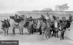 Donkeys On The Sands 1891, Rhyl