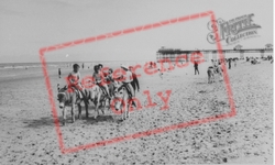 Donkies On The Beach c.1965, Rhyl