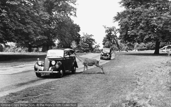 Photo of Richmond, the Park c1955