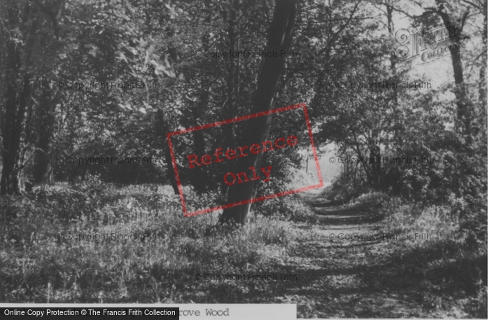 Photo of Rickmansworth, Beechgrove Wood c.1950
