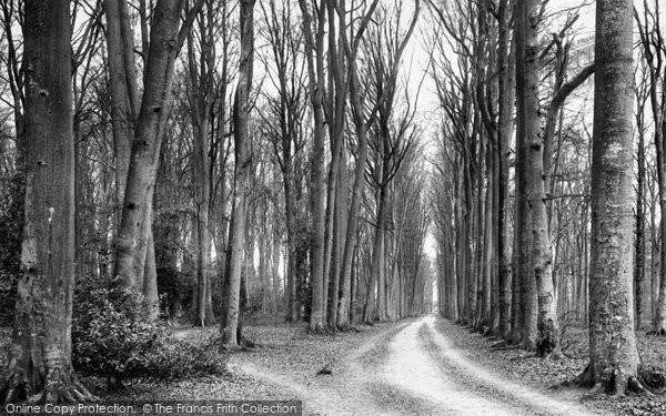 Photo of Rickmansworth, Finch's Wood 1902