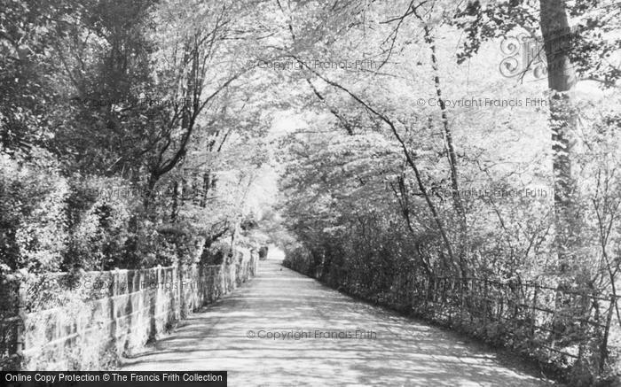 Photo of Rickmansworth, Loudwater Lane c.1950