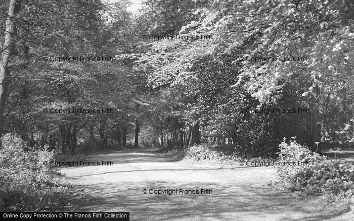 Photo of Rickmansworth, Trout Rise c.1950