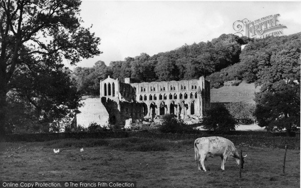 Photo of Rievaulx Abbey, c.1955