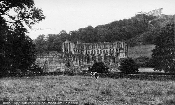 Photo of Rievaulx Abbey, c.1955