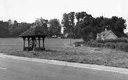 Village Green And Pump c.1955, Ringmer