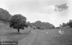 Downs 1927, Ringstead