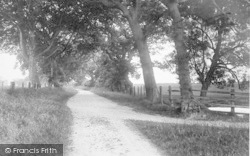 Lane To Downs 1927, Ringstead