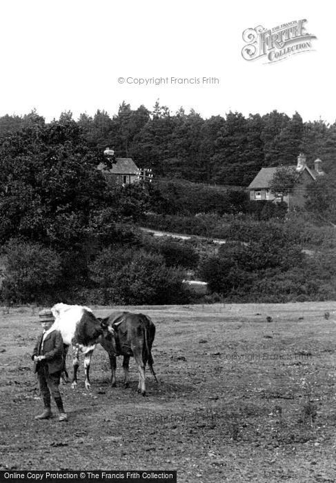 Photo of Ringwood, 1913