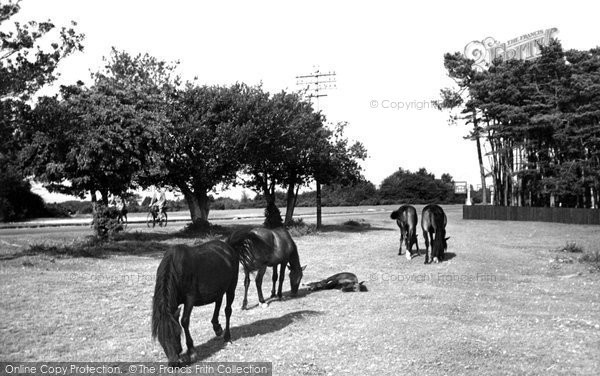 Photo of Ringwood, Ponies At Picket Post c.1950