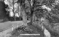 River Bank c.1960, Ringwood