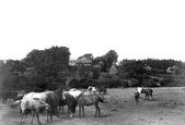 The Sanatorium 1913, Ringwood