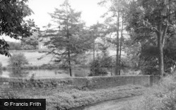 Bridle Path And Castle c.1955, Ripley