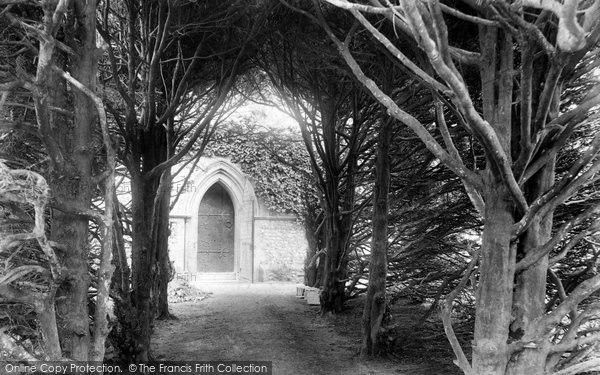Photo of Ripley, Church, Yew Avenue 1903