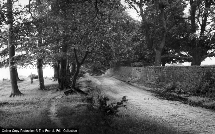 Photo of Ripley, The Path Through The Woods c.1955