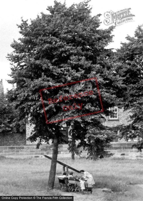 Photo of Ripon, Prams Under A Tree c.1955
