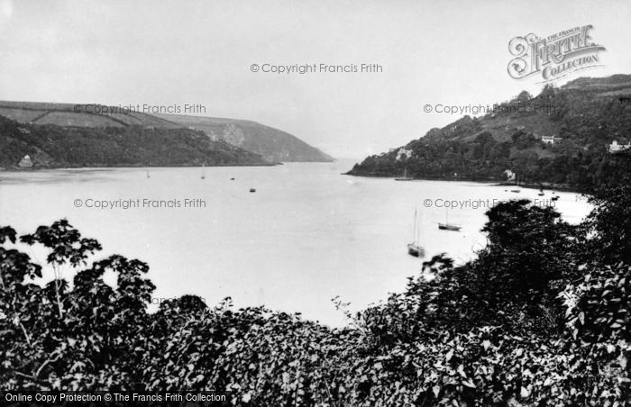 Photo of River Dart, c.1875