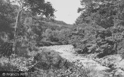 Near Holne Chase 1890, River Dart