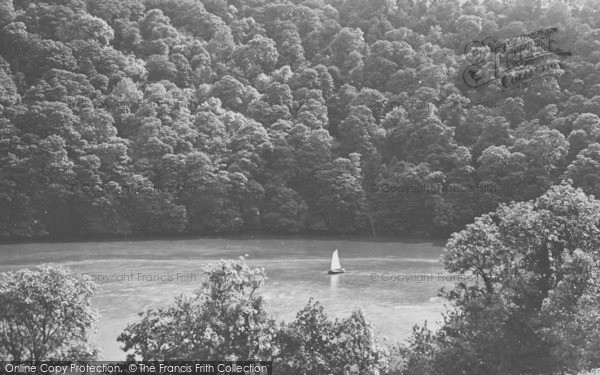 Photo of River Dart, Sharpham Woods c.1920
