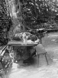 Dog By Moss Cottage 1893, River Wye
