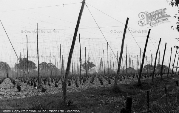 Photo of Robertsbridge, The Kent Garden c.1950