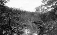 Rochdale, Ashworth Valley 1895