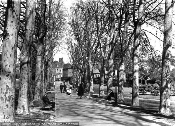 Photo of Rochester, The Vines c.1955