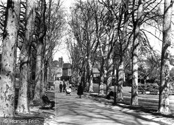 The Vines c.1955, Rochester