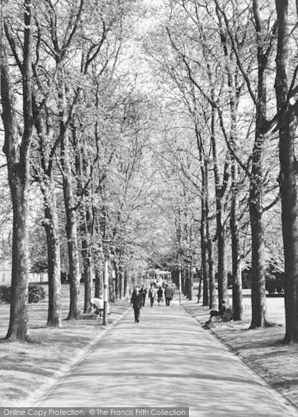 Photo of Rochester, The Vines c.1960